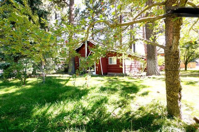 Green Cabin In Big Bear Lake 3 Bdr Pets Friendly Биг-Бэар-Сити Экстерьер фото